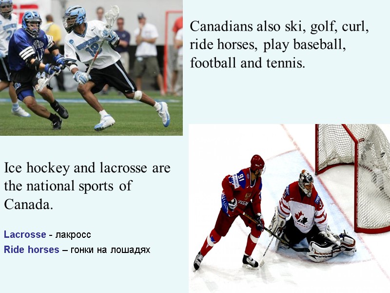 Ice hockey and lacrosse are the national sports of Canada.  Canadians also ski,